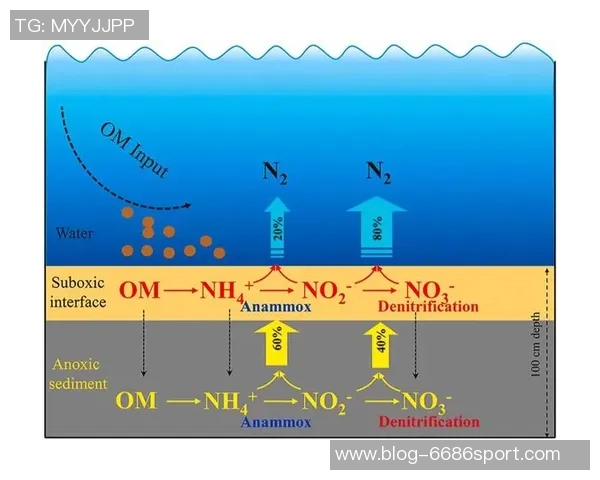 足球场的建设与管理实践探讨及其对社区发展的影响分析